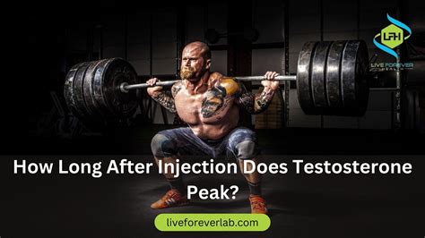 The Peak Timeframe For Testosterone After Injection Revealed